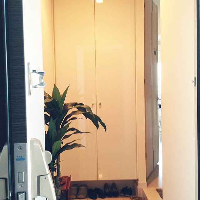 Mizukiさんの実例写真