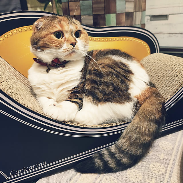 hiro3さんの実例写真