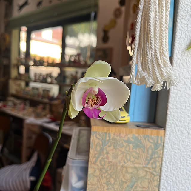 jijiさんの部屋