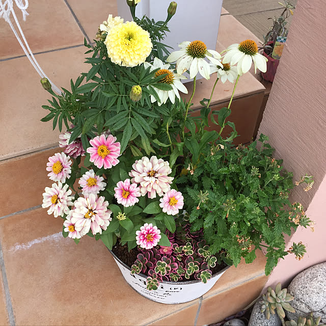 Andaluciaさんの実例写真