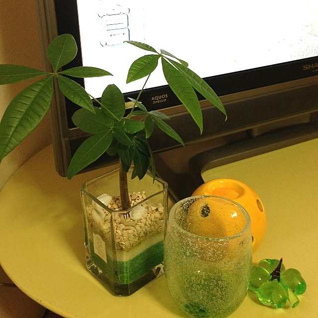 Reeさんの実例写真