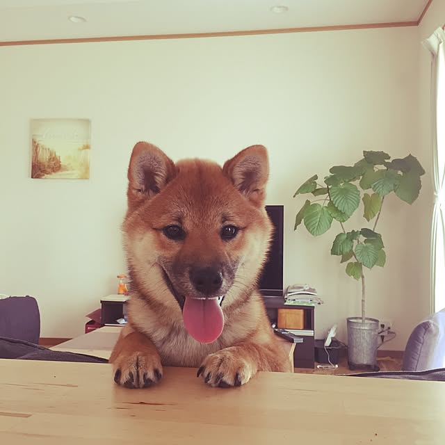 yunamiriさんの実例写真
