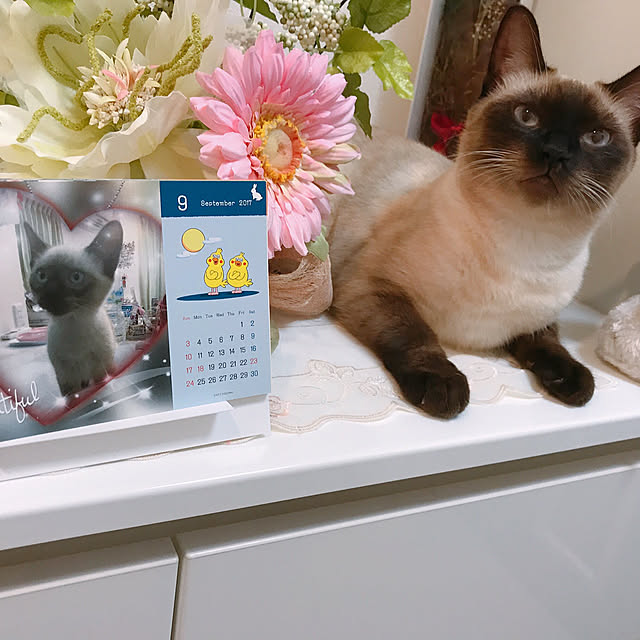 hisasaさんの実例写真