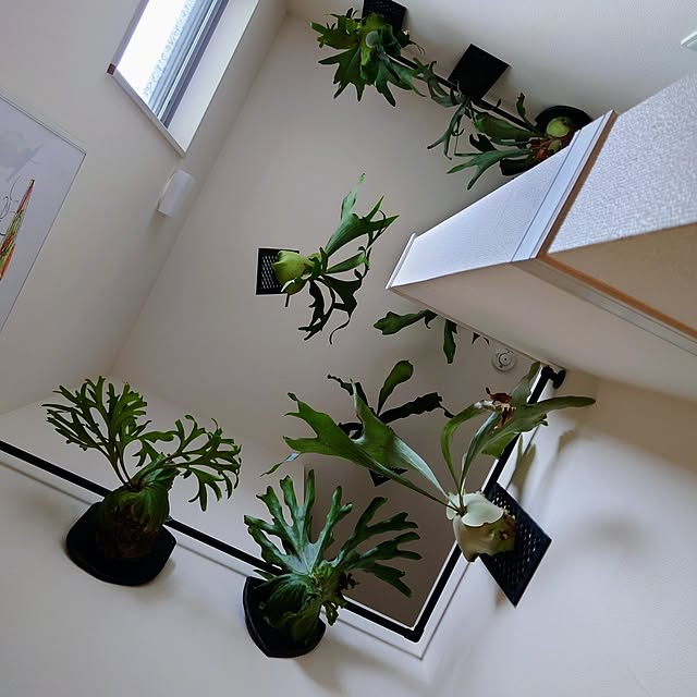 pakikiさんの実例写真