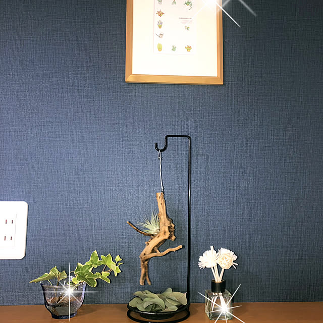 kazuさんの実例写真