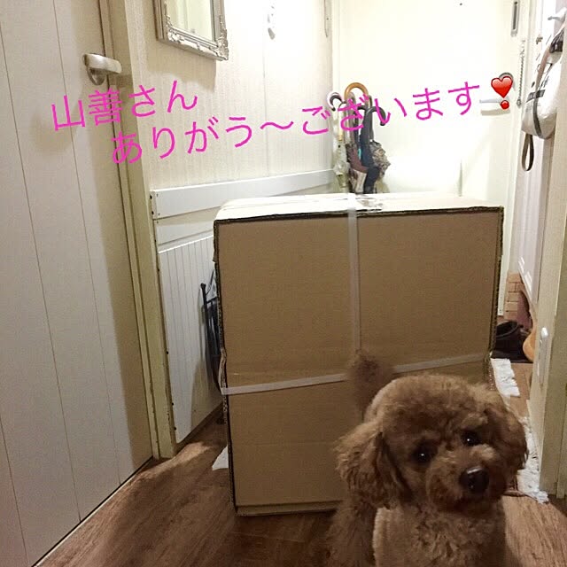 Naomiさんの実例写真