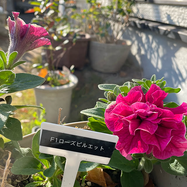 natsumiさんの実例写真