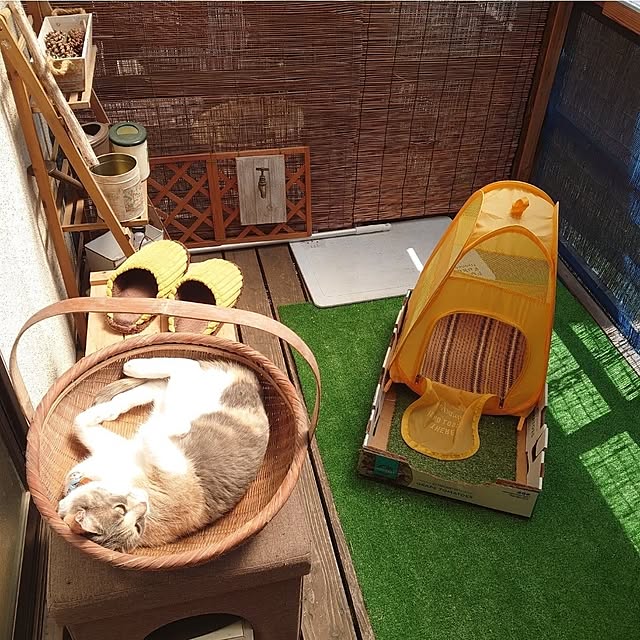 fukuさんの実例写真