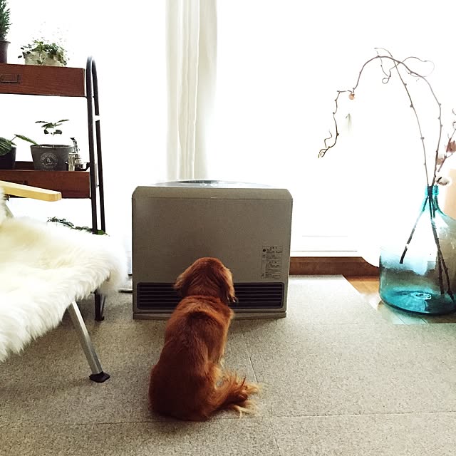 kaoru.m11さんの実例写真