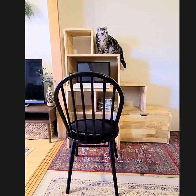 lovepeaceさんの部屋