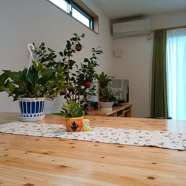 hinamiさんの実例写真