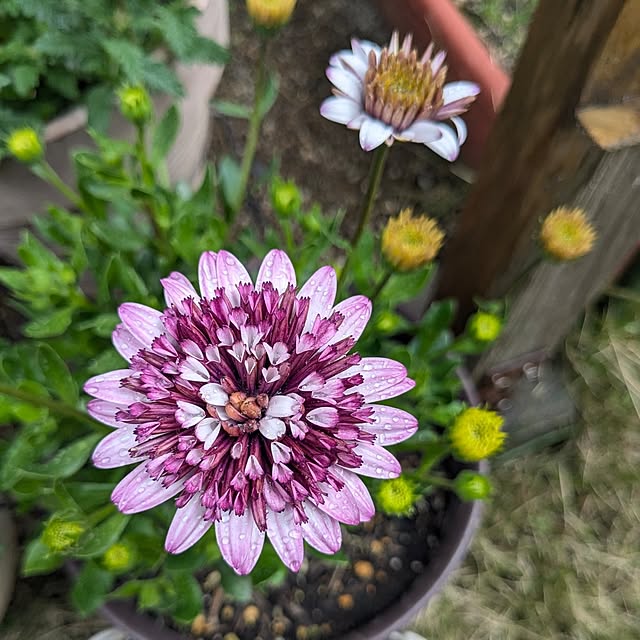 mofukoさんの部屋