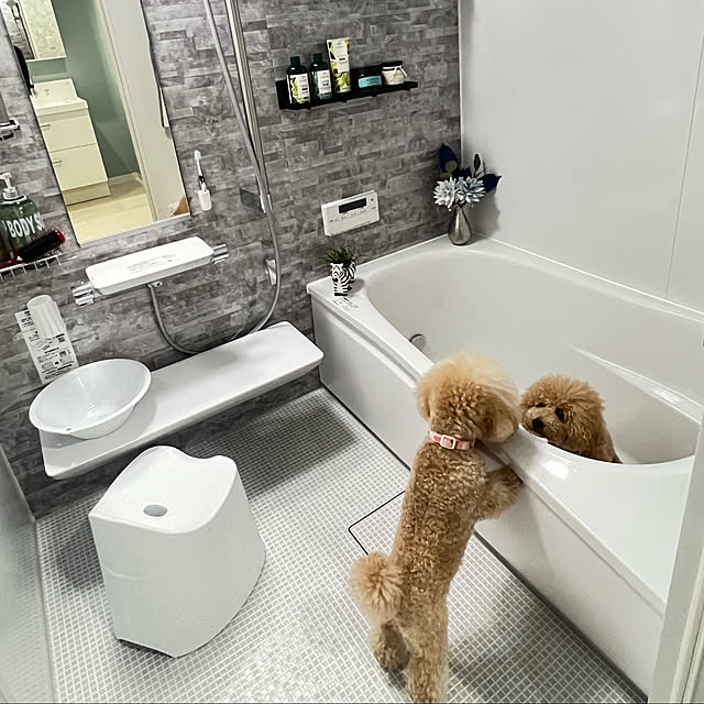 lovelovepoodleさんの実例写真