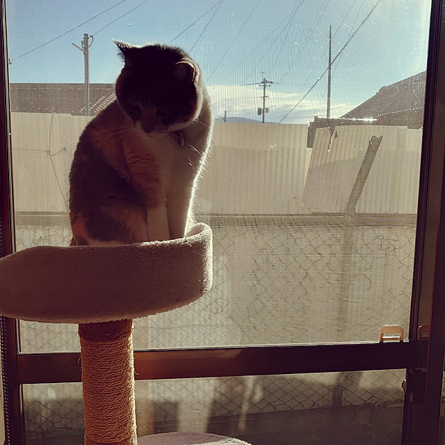 fukuさんの実例写真