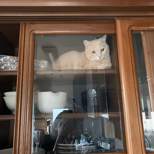 la_franceloveさんの実例写真