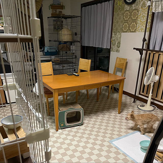kikiさんの実例写真