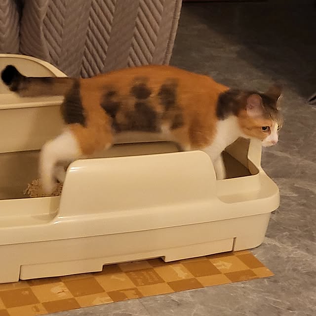 momoさんの実例写真