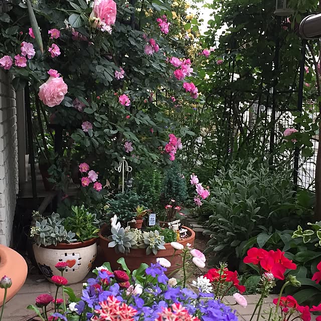 m.h.mammyさんの実例写真