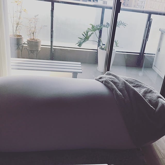 Kiseさんの実例写真