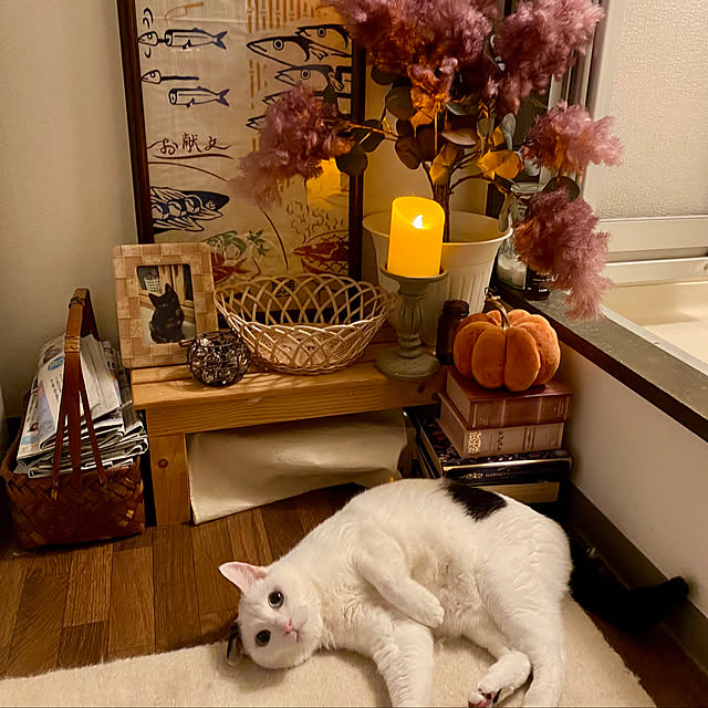 YUKAさんの実例写真