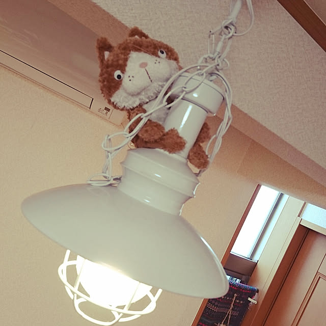 guriさんの実例写真