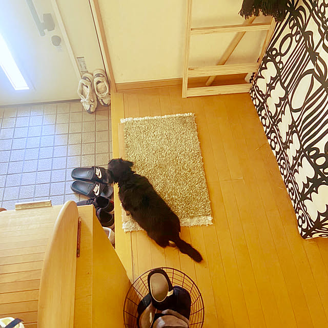 makisoraさんの実例写真