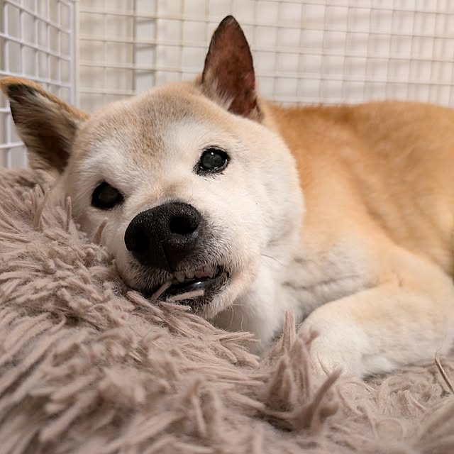 ponhanaさんの部屋