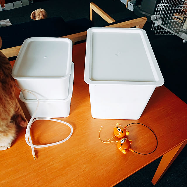 kikiさんの実例写真