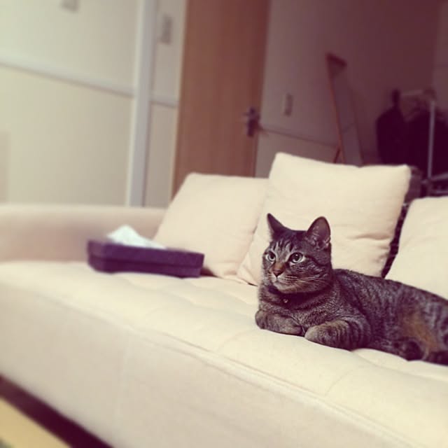 mky2580さんの実例写真