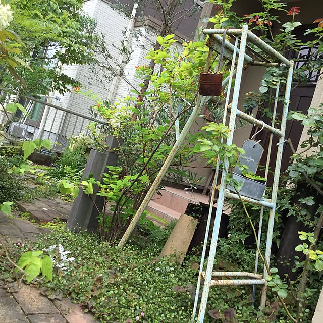 mippoko345さんの実例写真