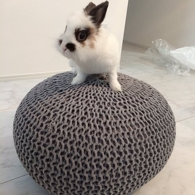 syomomo1008さんの実例写真