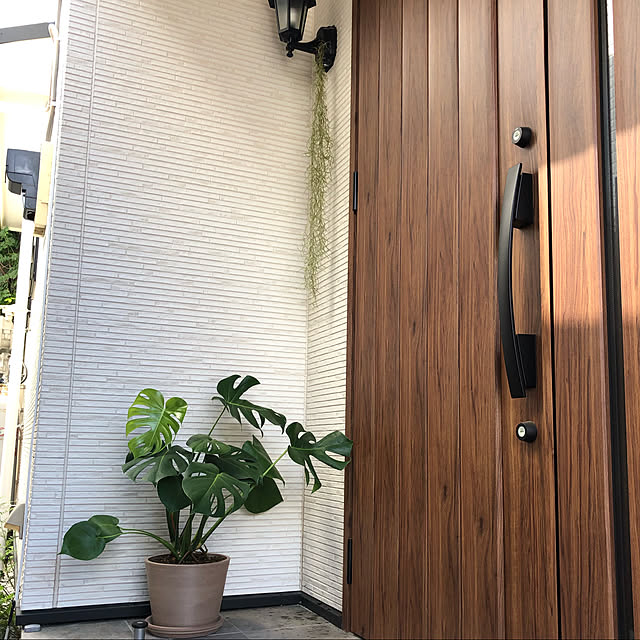 gerbillinaeさんの実例写真