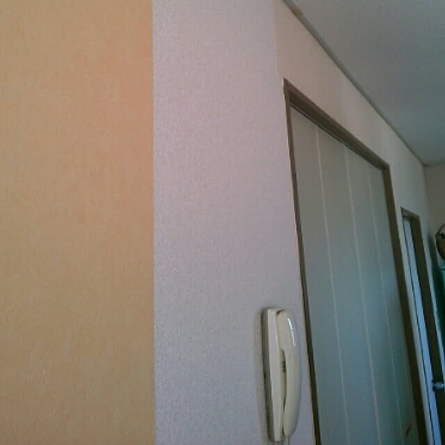 hitomi_kokirinoさんの実例写真