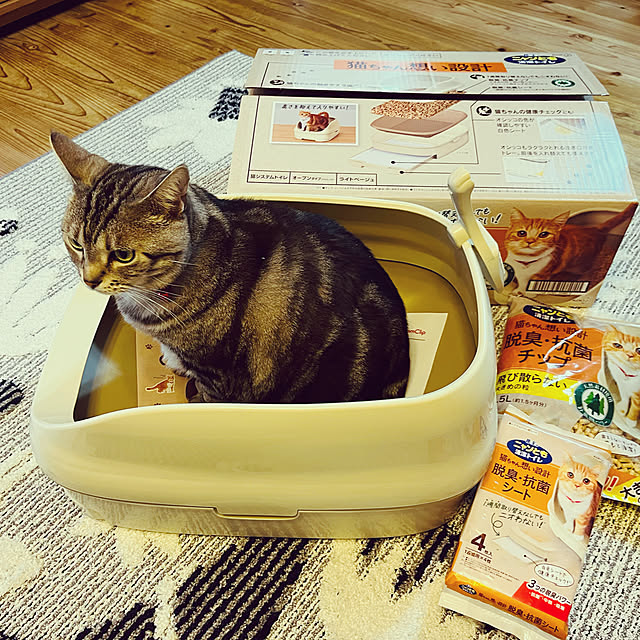 heidiさんの実例写真