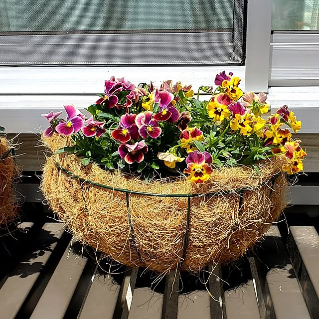 tokkiさんの部屋