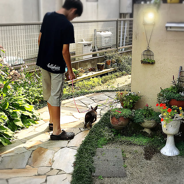 portulacaさんの実例写真