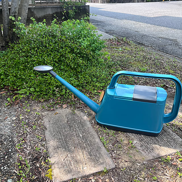 mapleさんの実例写真
