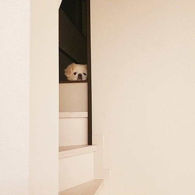 Arahimaさんの実例写真
