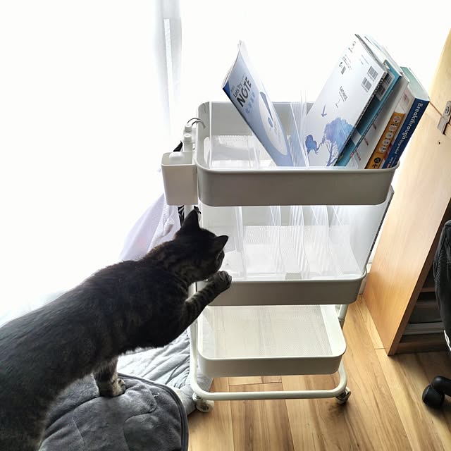 hihaさんの部屋
