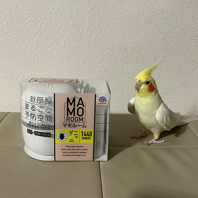 toratanさんの部屋