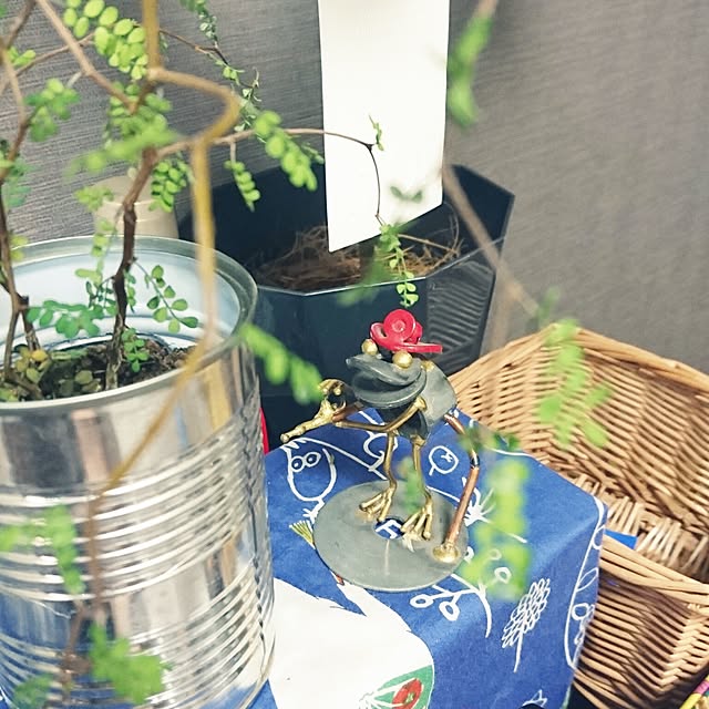 s.p.sunaoさんの実例写真
