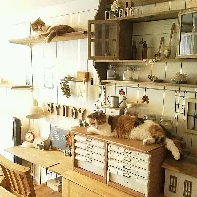 mikiさんの実例写真