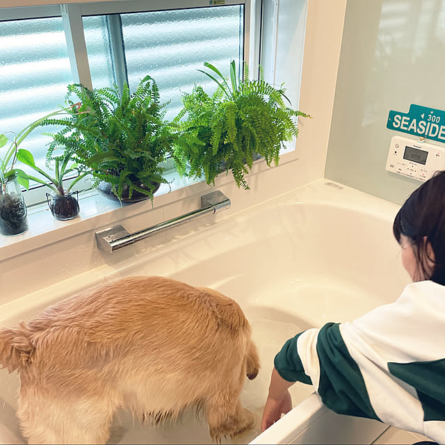 marinkoさんの実例写真