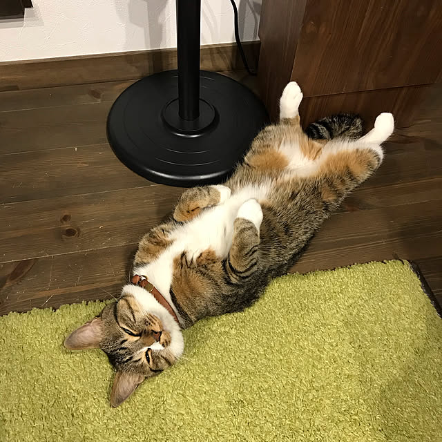na-sanさんの実例写真