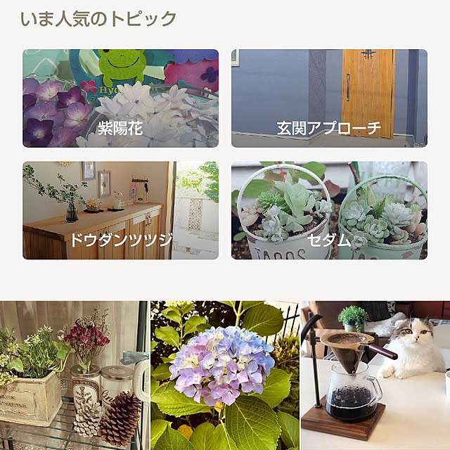 MMYSさんの実例写真