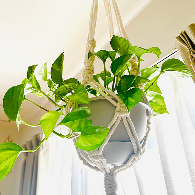 yunさんの実例写真