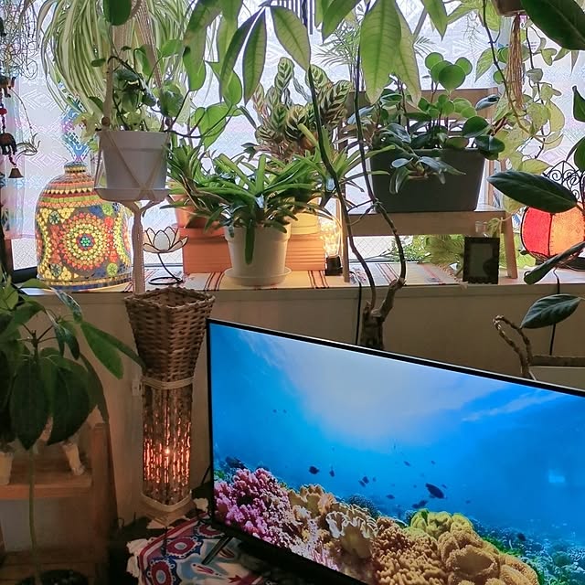 Michikoさんの部屋