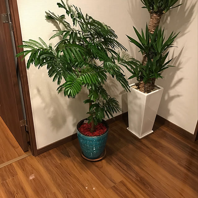 littlem55046340さんの実例写真
