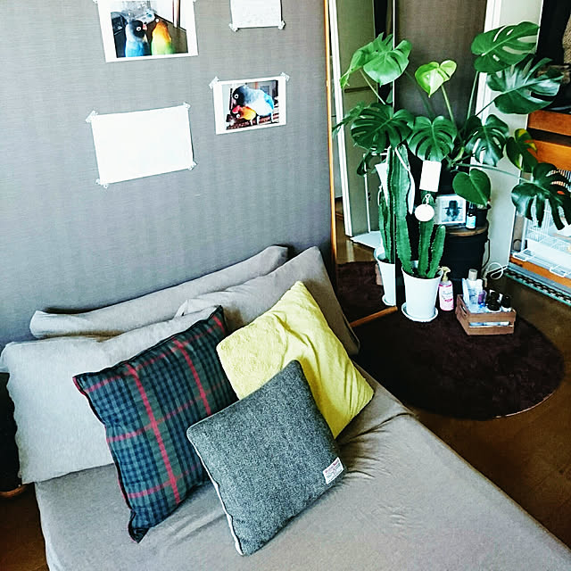s.p.sunaoさんの実例写真