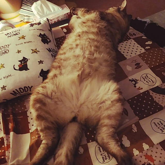 Manaさんの実例写真